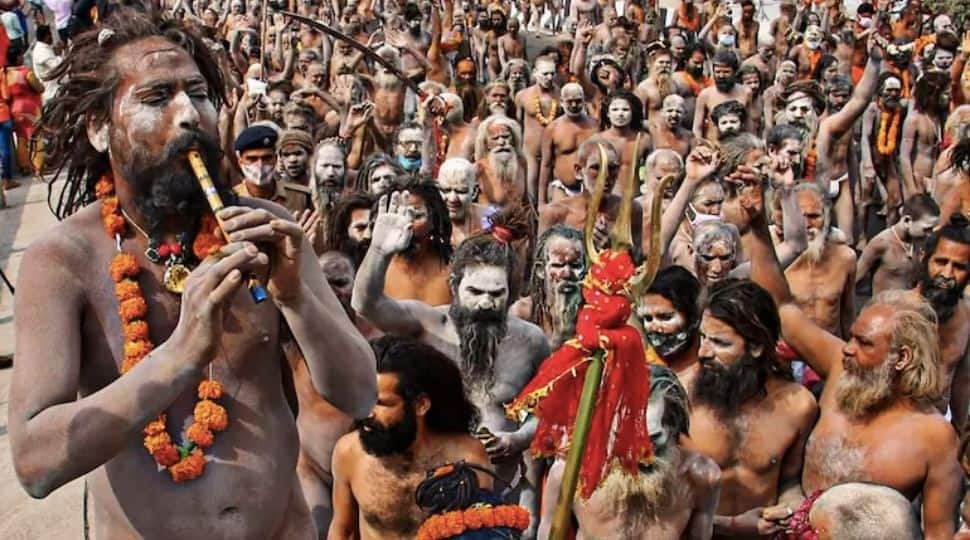 Over 1,700 people test COVID-19 positive in Haridwar Kumbh Mela over 5-day period