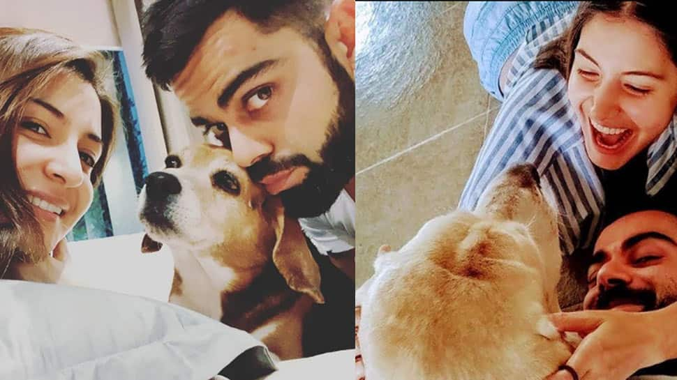 Anushka Sharma and Virat Kohli&#039;s &#039;priceless moments&#039; together in this unseen video proves they are ultimate &#039;pet lovers&#039; - Watch