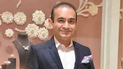 'Finmin's prompt measures helped in Nirav Modi extradition process'