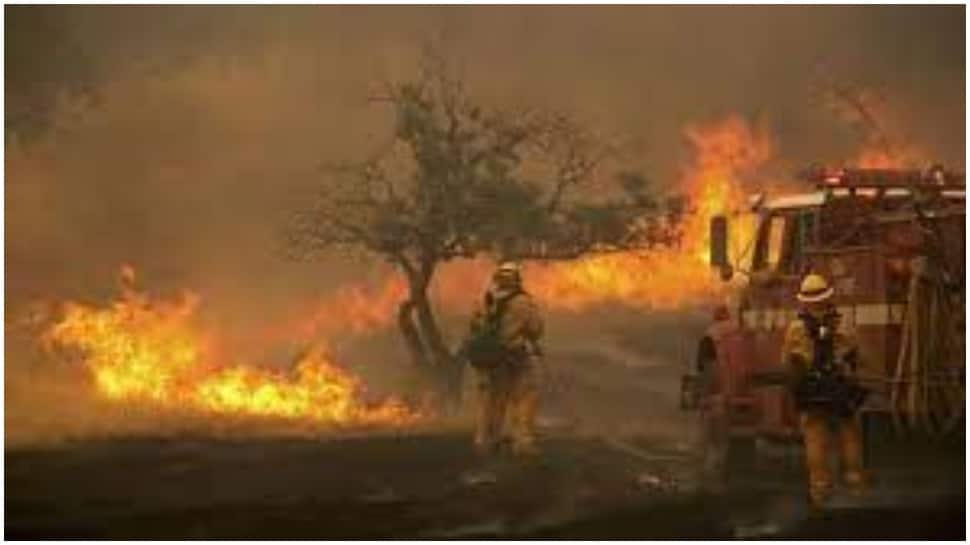 South Africa&#039;s Table Mountain on fire, 250 firefighters struggle to scale down blaze