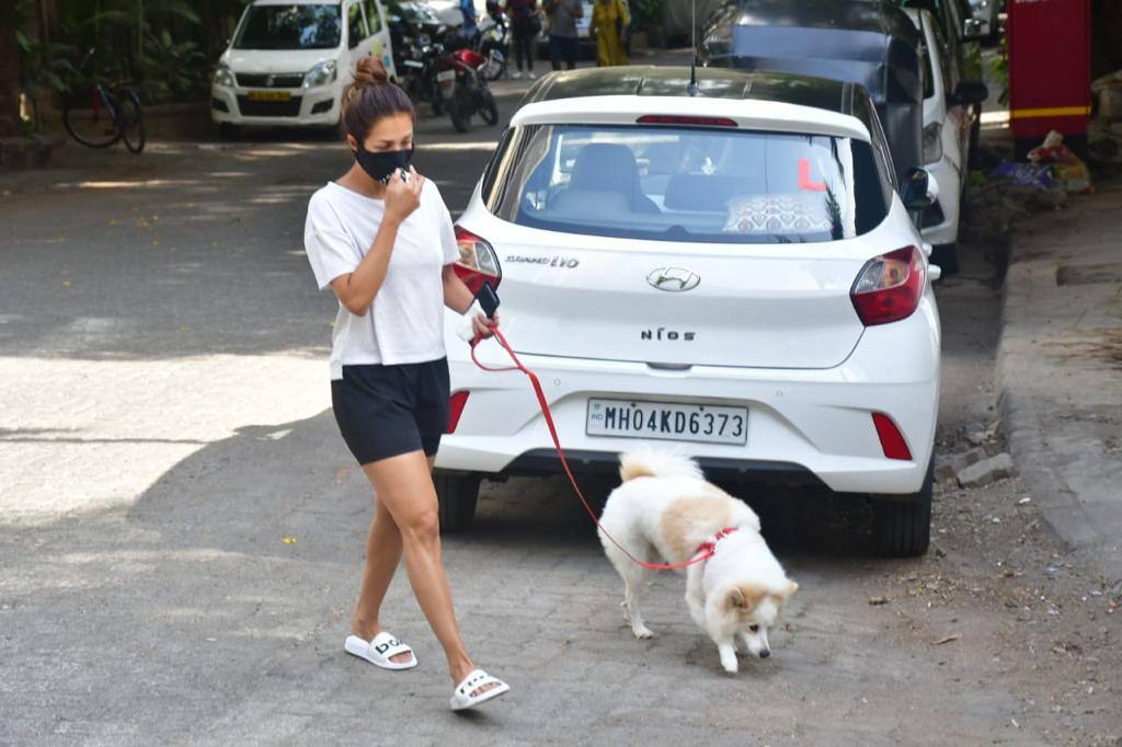 Malaika Arora takes her dog on a stroll