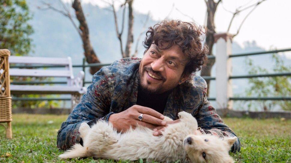Irrfan Khan&#039;s first death anniversary: List of awards and honours bestowed on him!