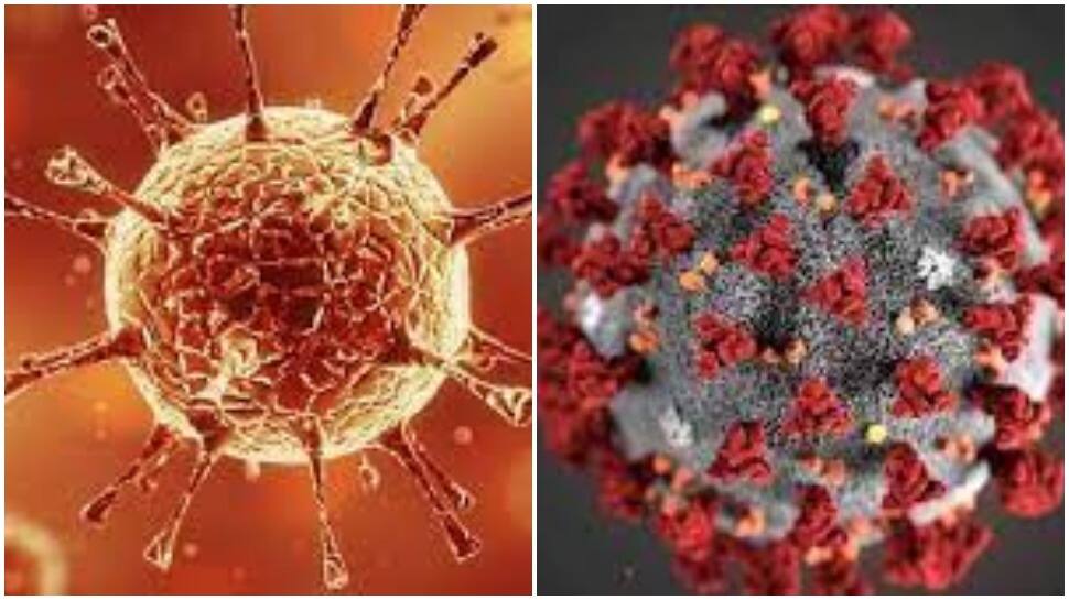 Explainer: All we know about Indian variant of coronavirus that crippled health care system