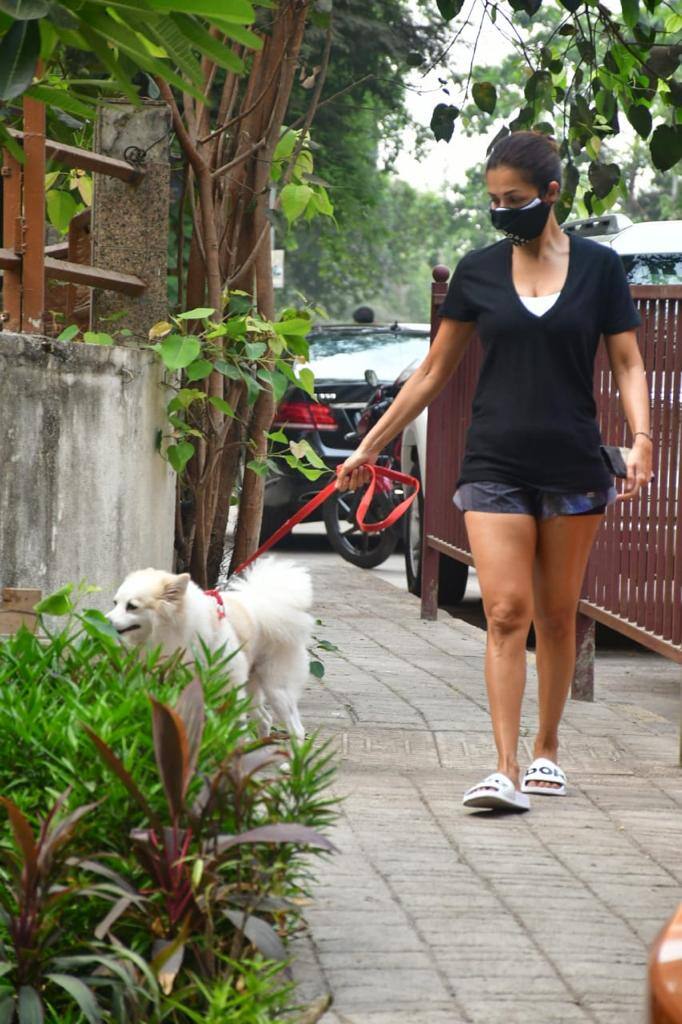 Malaika was spotted with her pet dog for a morning walk