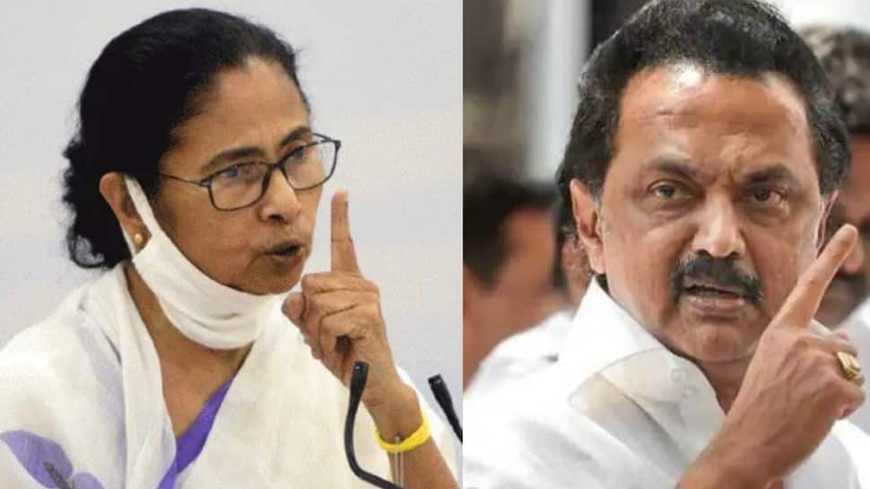 Assembly Election Results 2021: From Mamata Banerjee to MK Stalin, know the top 10 candidates to watch out for