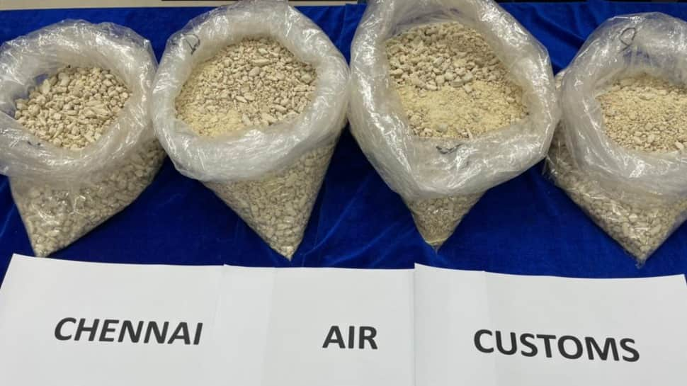 15.6 kg Heroin worth Rs 100cr seized from two Tanzanian nationals at Chennai airport