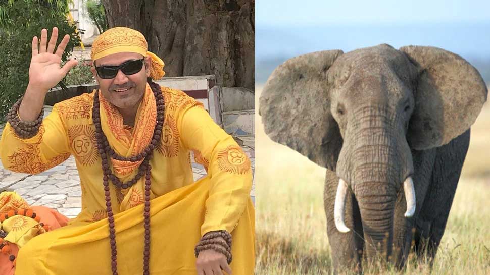 Elephant plays cricket with men in village, Virender Sehwag, Michael Vaughan react to viral video - WATCH