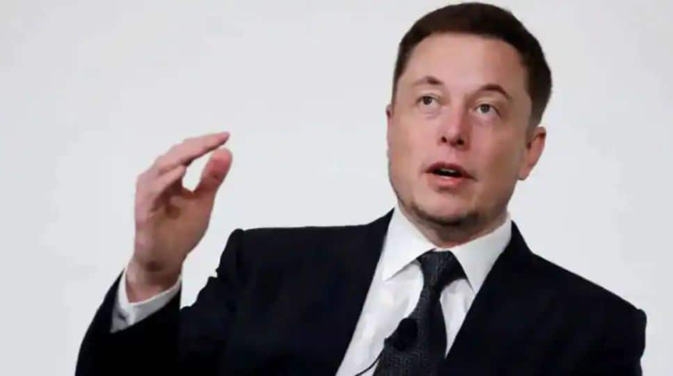 ''Do you want Tesla to accept Doge?'' Elon Musk asks Twitter users | Technology News | Zee News