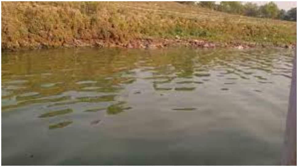 7 more bodies found floating in Ganga in UP&#039;s Ballia; total count reaches 52
