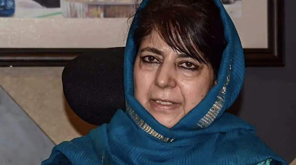 Mehbooba Mufti questions arrest of people for holding anti-Israel protest in Kashmir