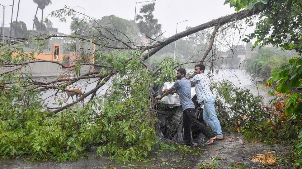 Locals clear a fallen tree from a road