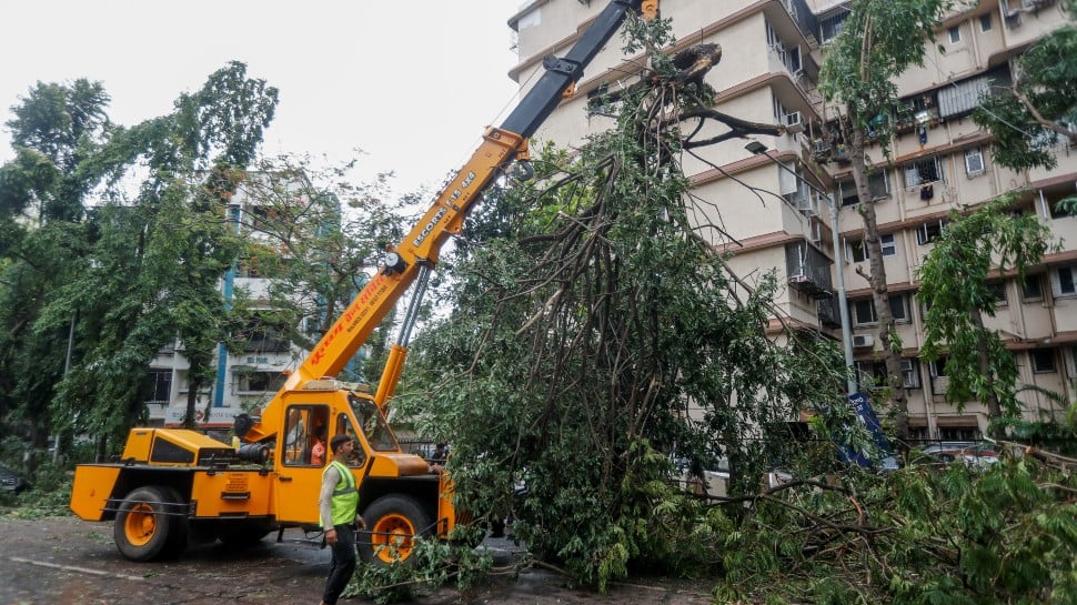 A heavy vehicle was used to remove a tree fallen on the road