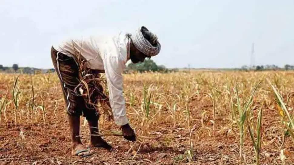 20 lakh farmers of THIS state to get a bumper bonus on May 21 