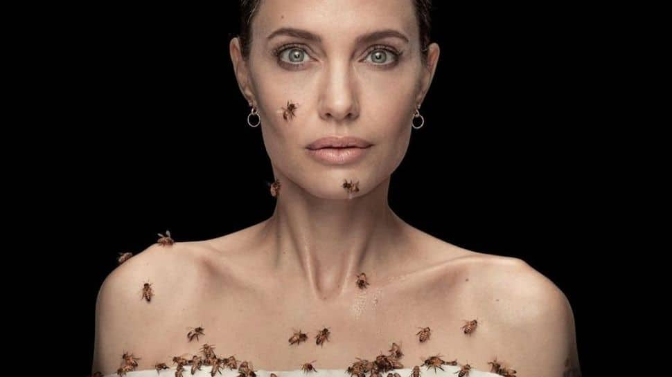 Angelina Jolie&#039;s shocking photoshoot with &#039;bees for 18 mins&#039; breaks internet - Watch viral video