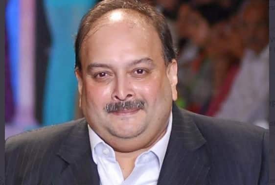 Fugitive diamantaire Mehul Choksi is missing in Antigua, family members worried: Lawyer