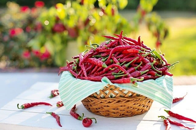 Chillies and spicy food