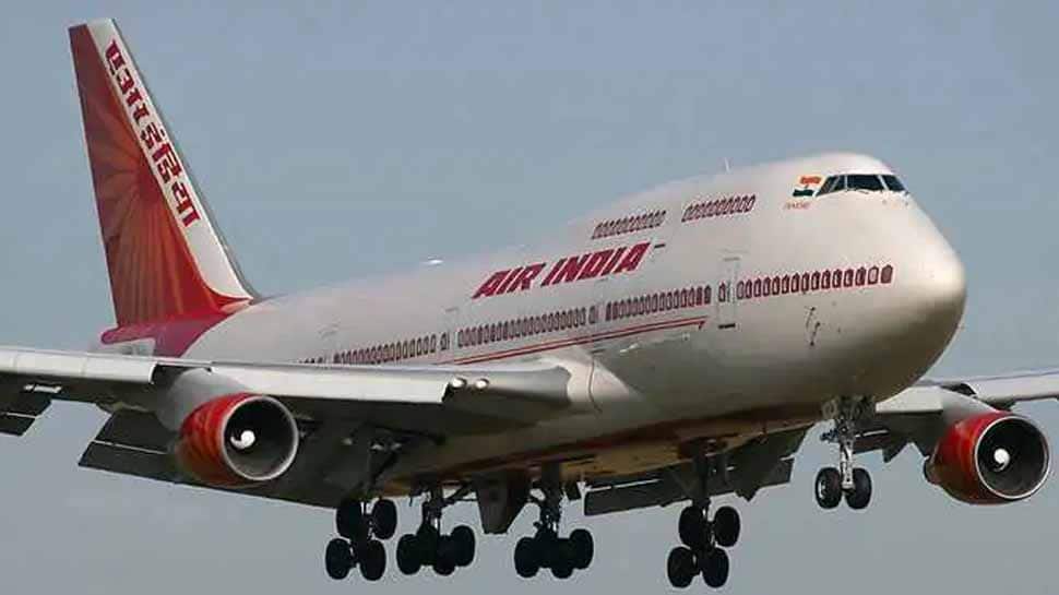 Bat found in US-bound Air India flight, plane returns to Delhi