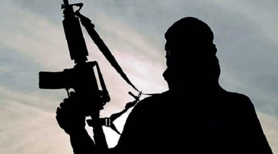 Jammu &amp; Kashmir: Two civilians killed as militant opens fire in Anantnag district