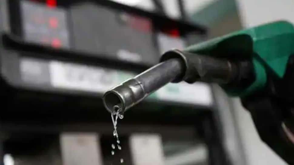 Petrol Prices Today, May 30, 2021: Prices remain unchanged after touching Rs 100 in Mumbai, check rates in metro cities