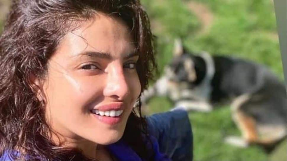 Priyanka Chopra spends quality time with her pet pooch Panda in London, shares sun-kissed selfie!