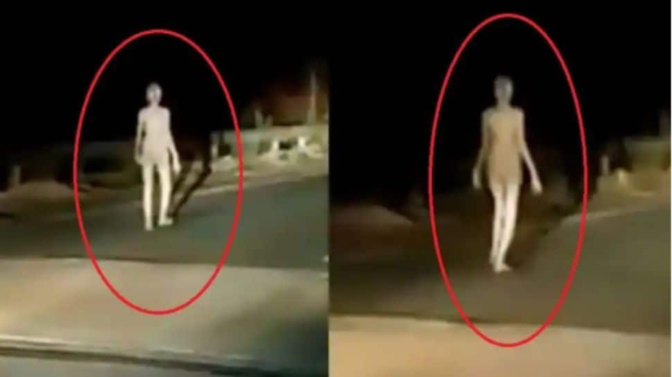 Alien sighted in Jharkhand&#039;s Hazaribagh? Check truth behind viral video