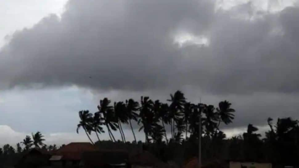 Kerala likely to witness onset of monsoon today, Delhi to receive light showers 