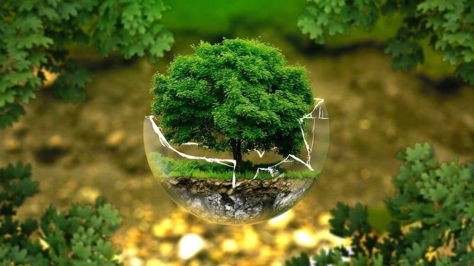 World Environment Day 2021: Theme, history and significance