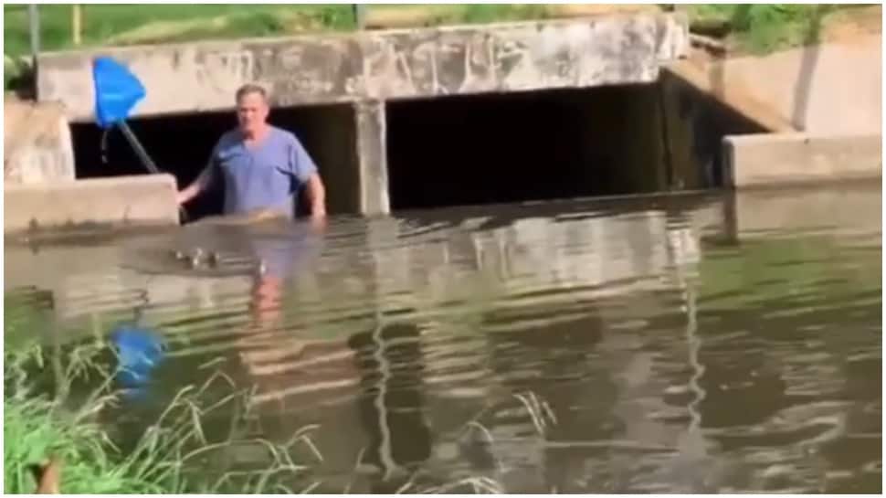 Man rescues cute ducklings trapped in pond, video goes viral