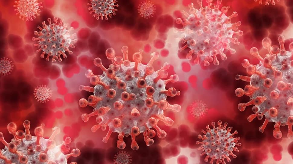 HIV positive woman carried COVID-19 for 216 days, the virus mutated 32 times inside her body!