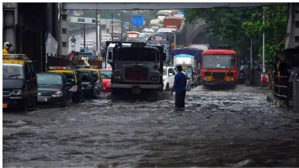 Mumbai monsoons: BMC cautions citizens against leptospirosis