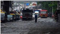Mumbai monsoons: BMC cautions citizens against leptospirosis 