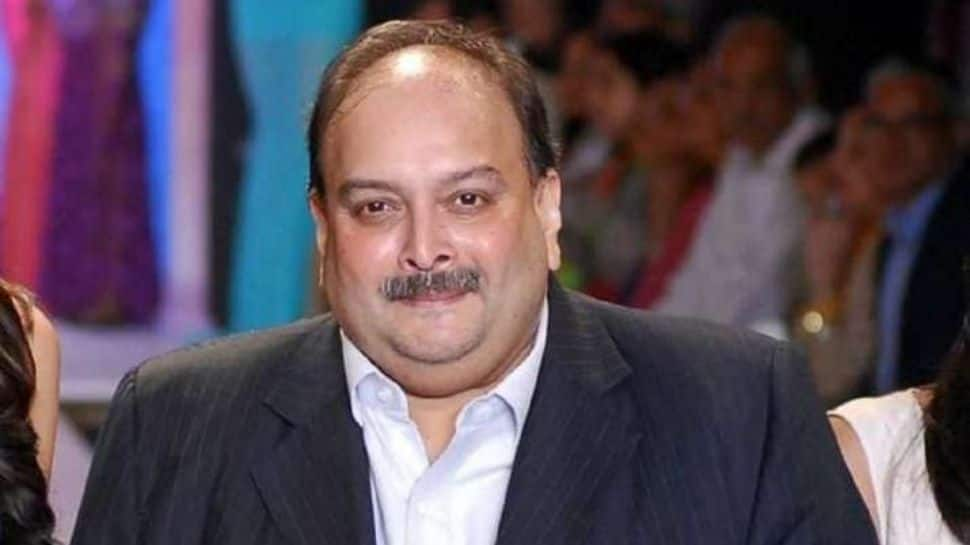 Mehul Choksi extradition case: CBI, MEA file impleadment applications in Dominica HC