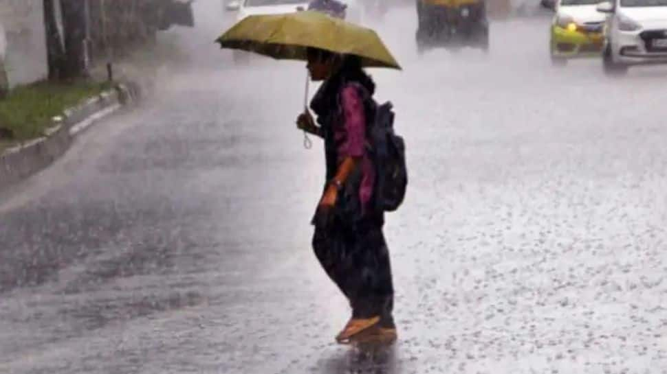 Southwest monsoon advances further, IMD issues heavy rainfall warning for several states