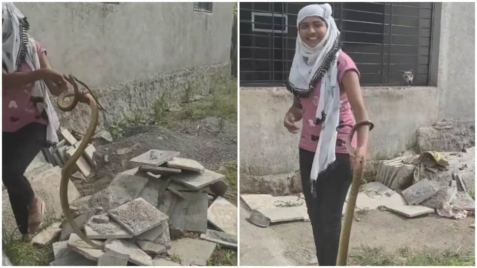 Kamal ki ladki: Girl catches King Cobra bare-handed, leaves netizens stunned