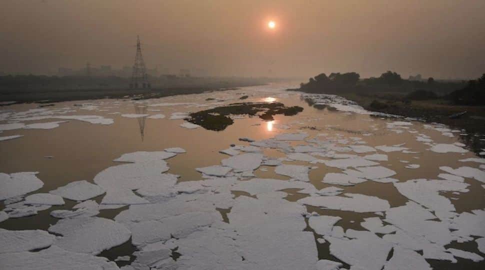 Yamuna river: Delhi bans soaps, detergents not conforming to latest BIS standards to curb pollution