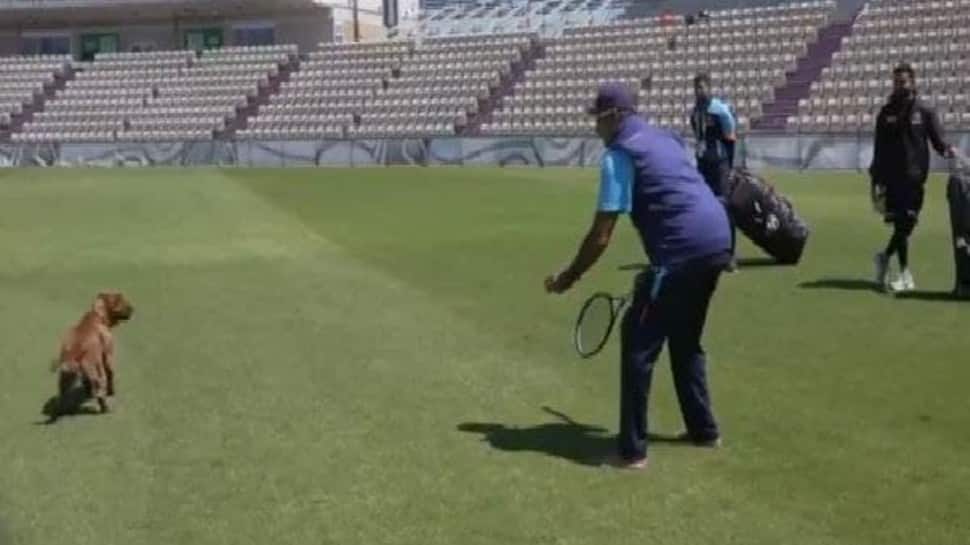 WTC Final: Team India coach Ravi Shastri gives 'fielding classes' to a DOG in Southampton - WATCH
