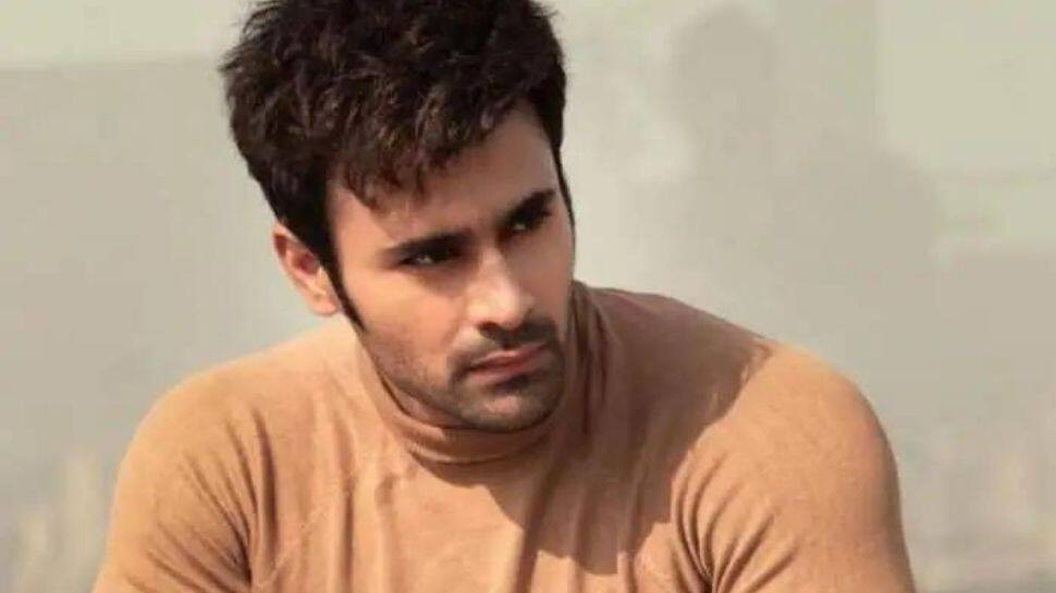 Rape accused actor Pearl V Puri granted bail