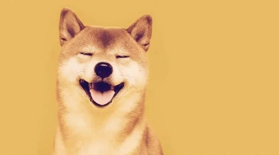 After the meme became popular in 2013, two software engineers created a cryptocurrency called Dogecoin as a joke in the meme's honour.