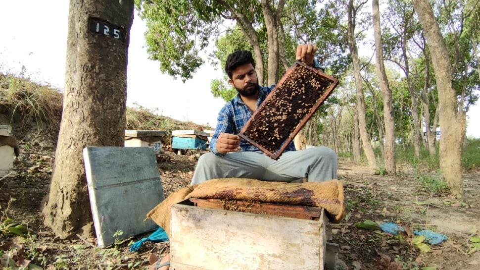 This beekeeper from Punjab is a beacon of hope for low land holders