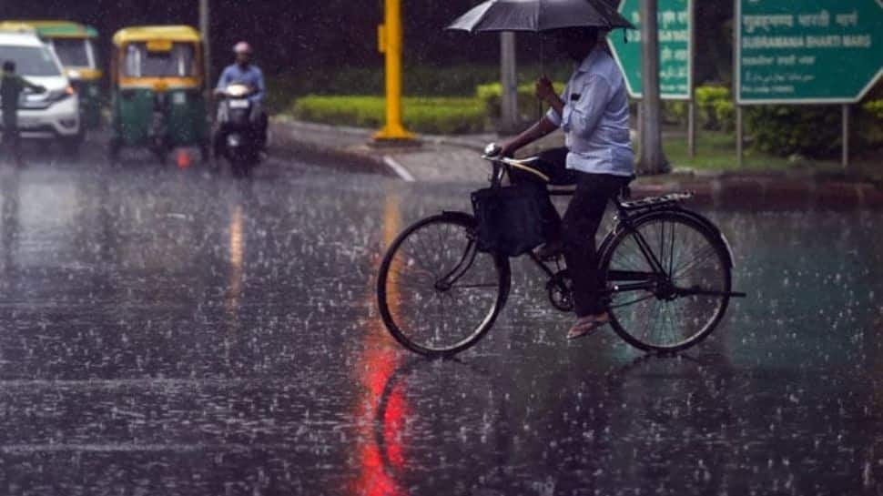 Delhi to receive light to moderate showers over weekend, predicts IMD