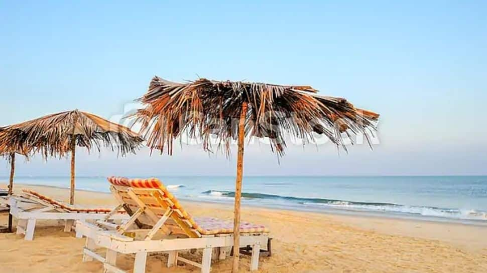 Goa extends COVID-19 curfew till June 28, check guidelines here