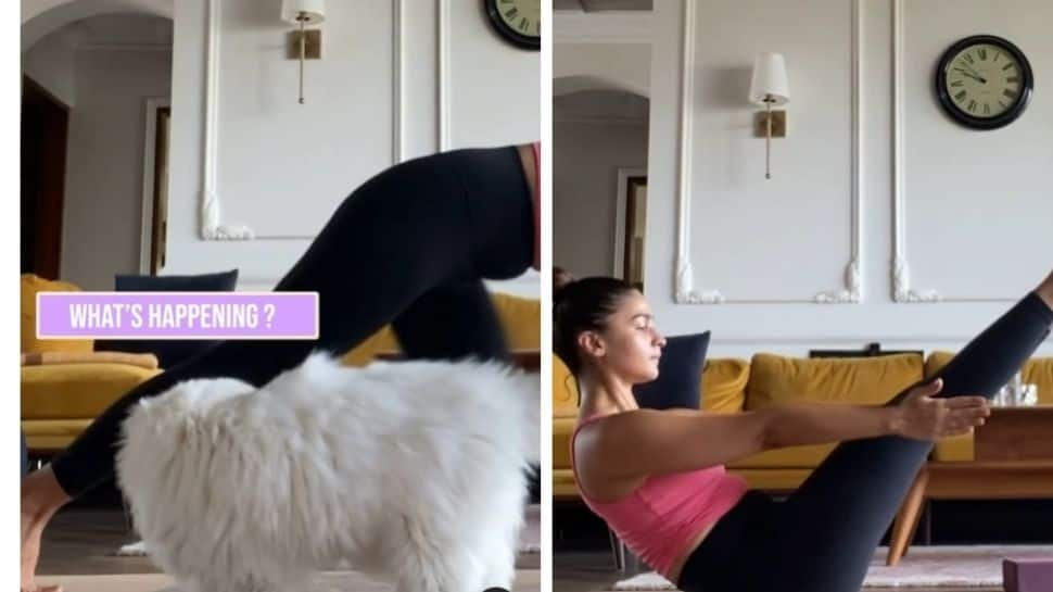 International Yoga Day: Alia Bhatt turns yogi with her cat Edward by her side - Watch