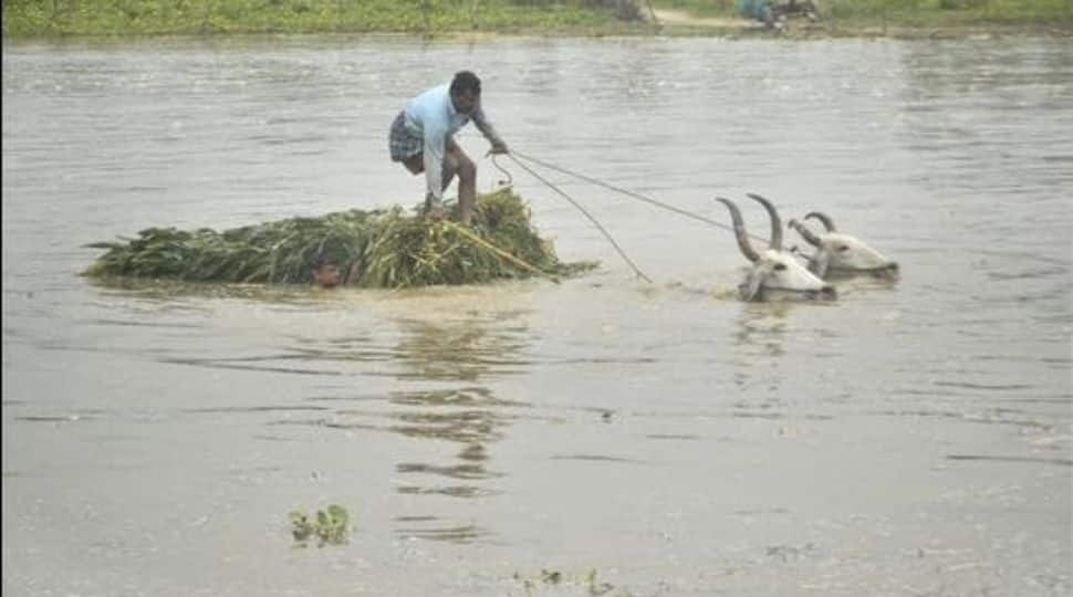 Sixteen districts in Uttar Pradesh have been put on high alert for floods in the coming days.