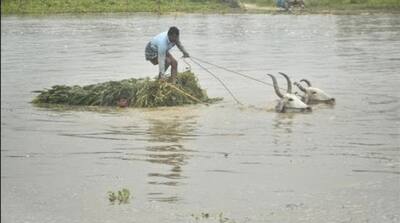 Sixteen districts in Uttar Pradesh have been put on high alert