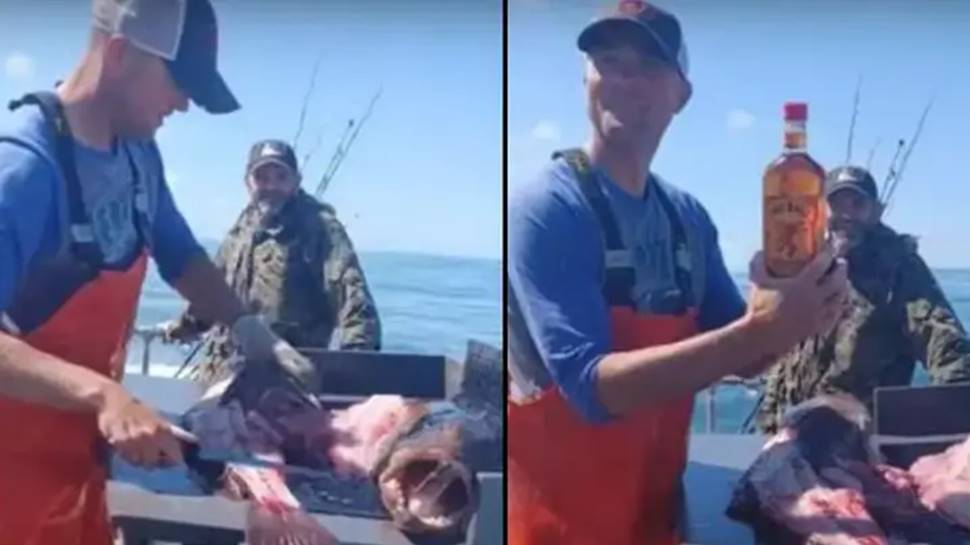 Fisherman discovers unopened whisky bottle inside fish, kicks up a debate - Watch