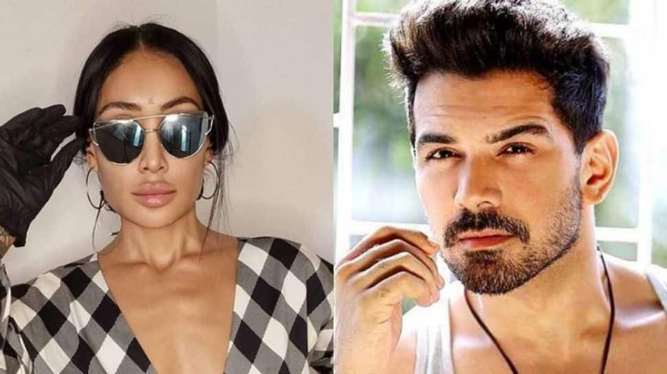 Troll accuses Sofia Hayat of &#039;one-night stand&#039; with Abhinav Shukla, actress hits back!