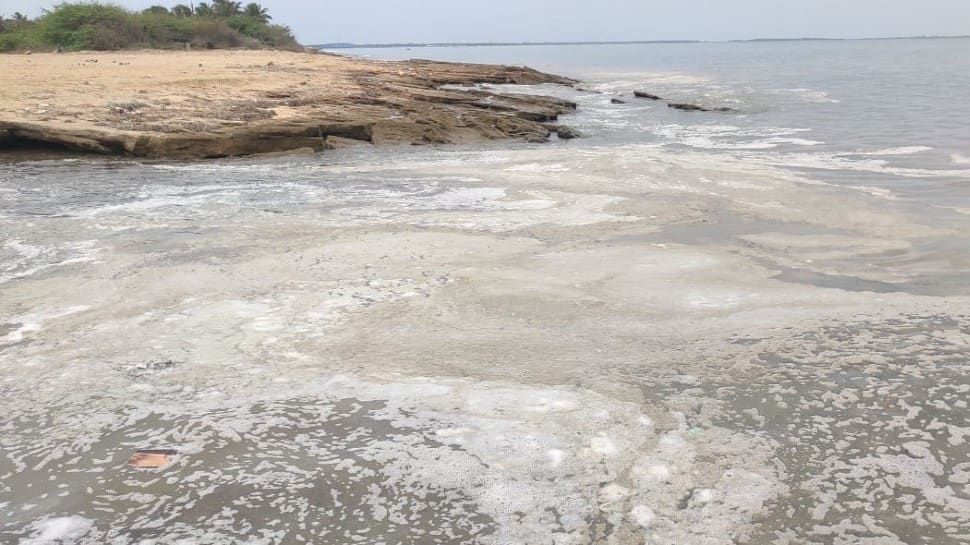 Foul-smelling foam wash ashore near Rameswaram, fishermen fear chemical leak from shipwreck