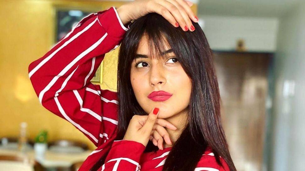 Bigg Boss fame Shehnaaz Gill tells fan ‘industry mein patli ladkiyan chalti hai’ - Watch video