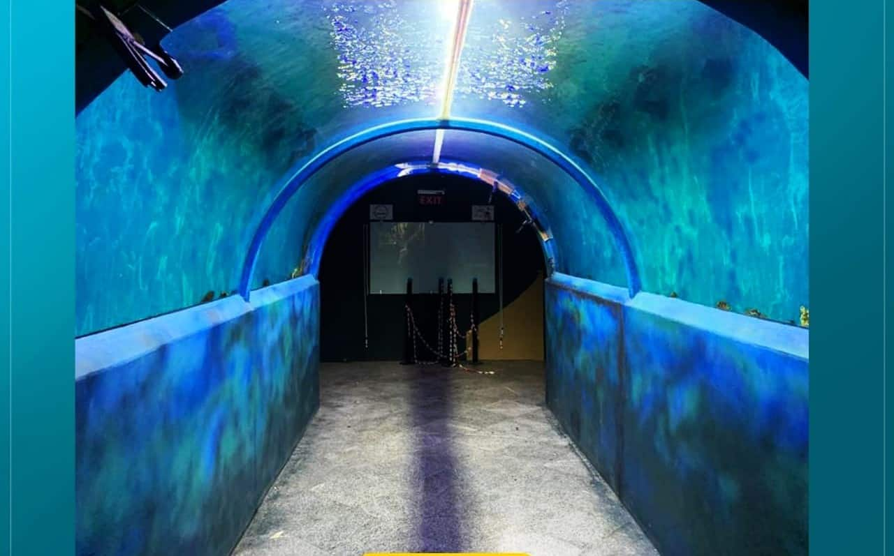 Tunnel aquarium