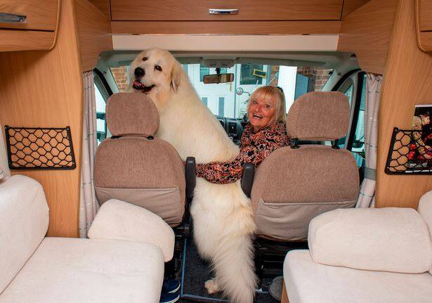 Boris travel around in a luxury bus